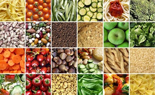 تعیین سرنوشت کشور برای سال‌های آینده با پایش عمومی کشاورزی