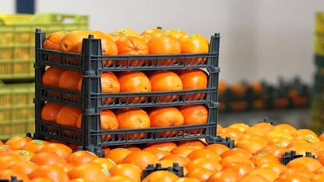 تامین و توزیع میوه تنظیم بازاری بدون مشکل ادامه دارد