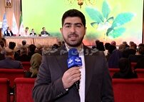 استفاده از تجربیات بین المللی برای حفظ جنگل ها