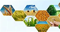 تاکید وزیر جهاد کشاورزی بر تولید محصولات اساسی