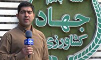 تامین امنیت غذایی تعطیل شدنی نیست