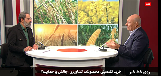 جزئیات نرخ‌گذاری خرید تضمینی گندم