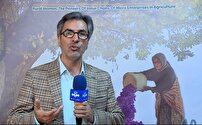توانمندسازی زنان روستایی و عشایری